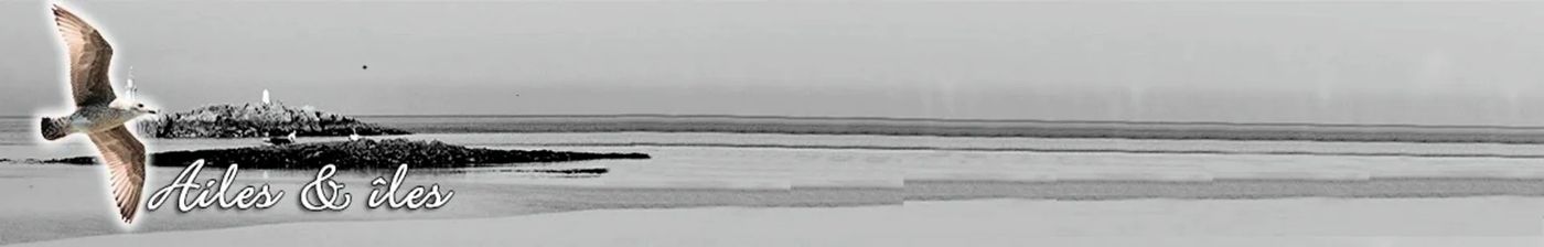 Ailes&îles