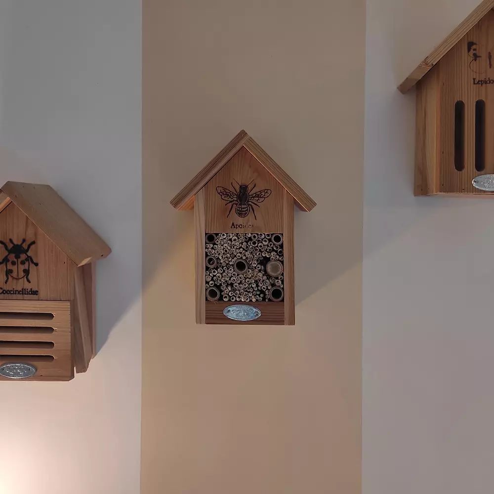 Chambres d'Hôtes Escale et Bien-Être