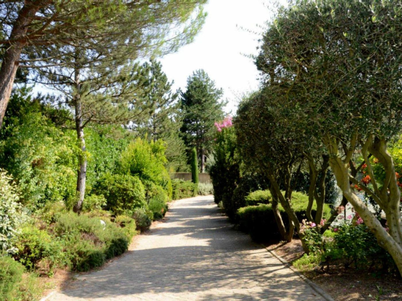 Locations De Vacances