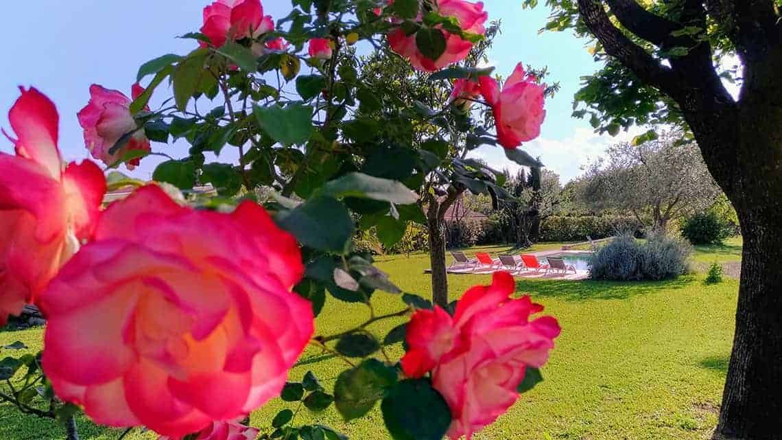 L'Escale Provençale