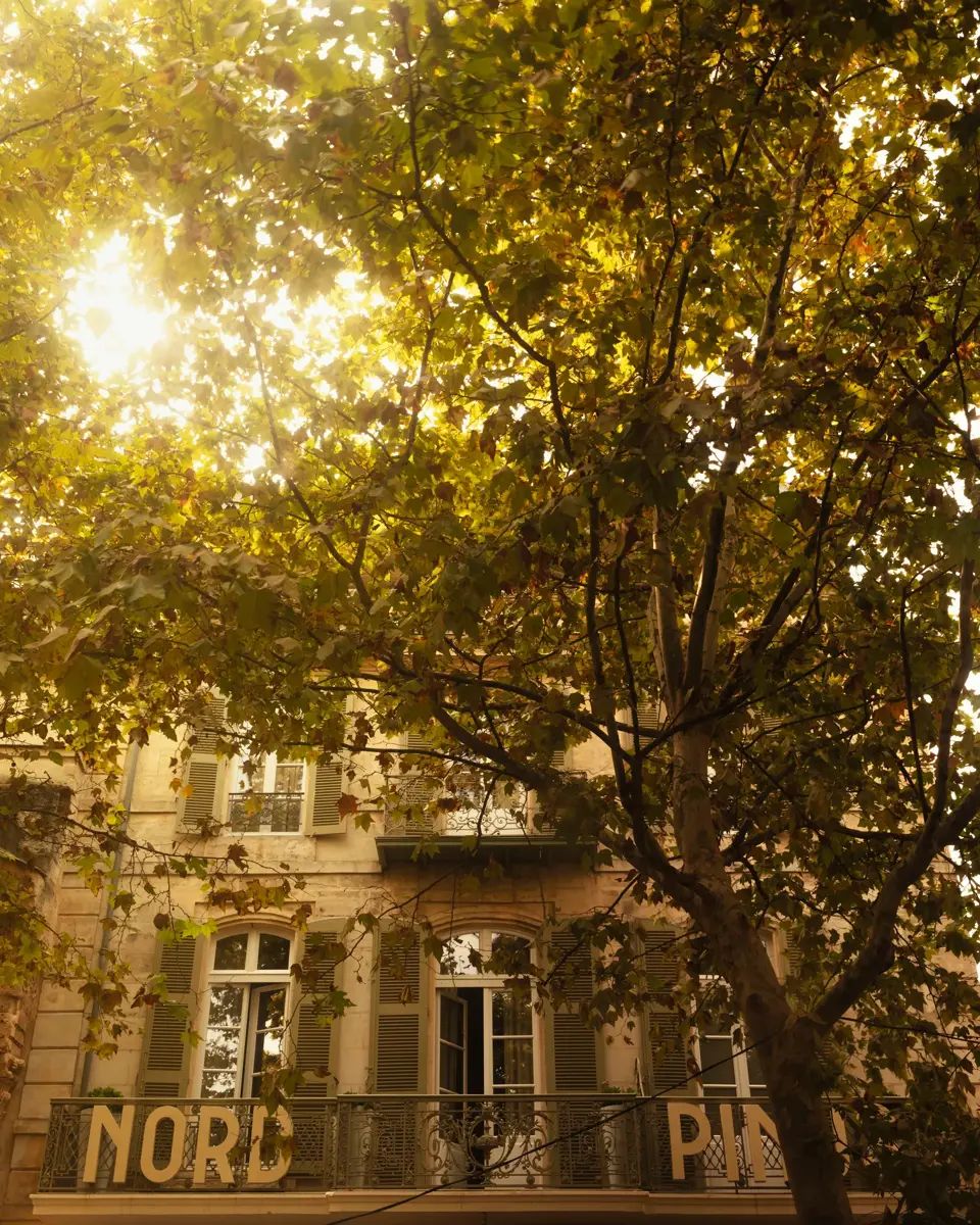 Le Nord-Pinus