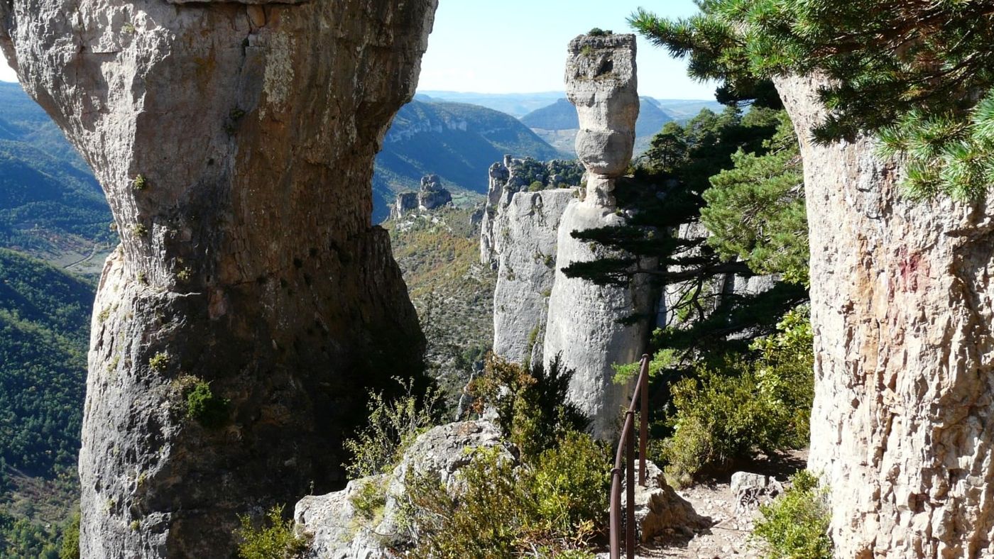 Domaine Aigoual Cévennes