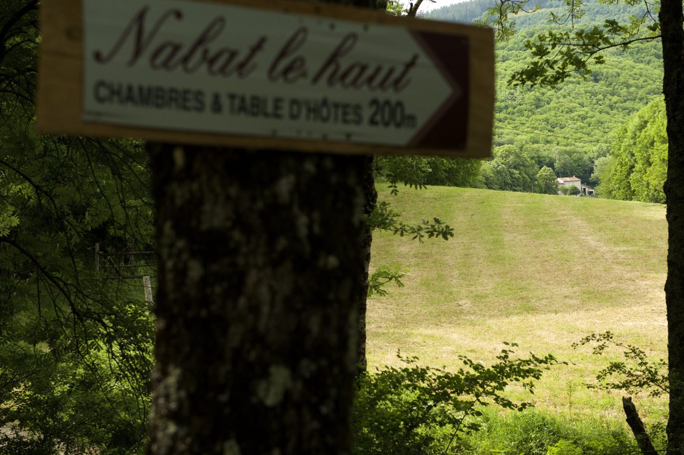 Nabat le haut