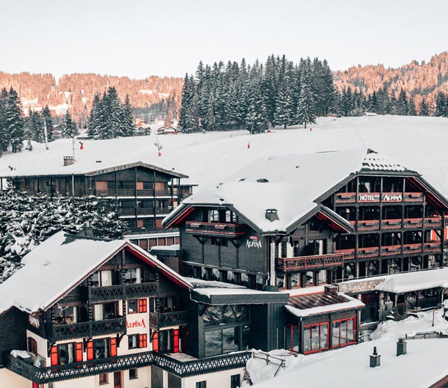 Hôtel Alpina