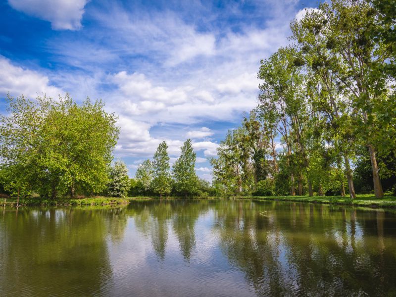 Domaine de Presle