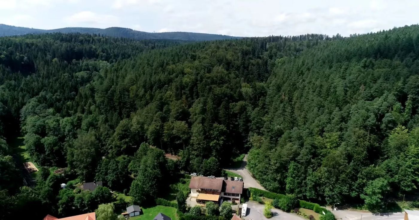 Le Freudeneck
