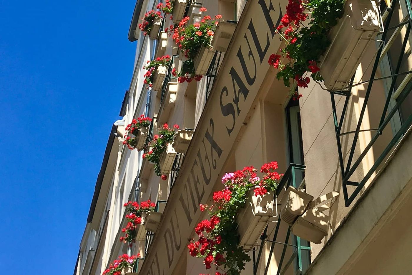 Hôtel du Vieux Saule