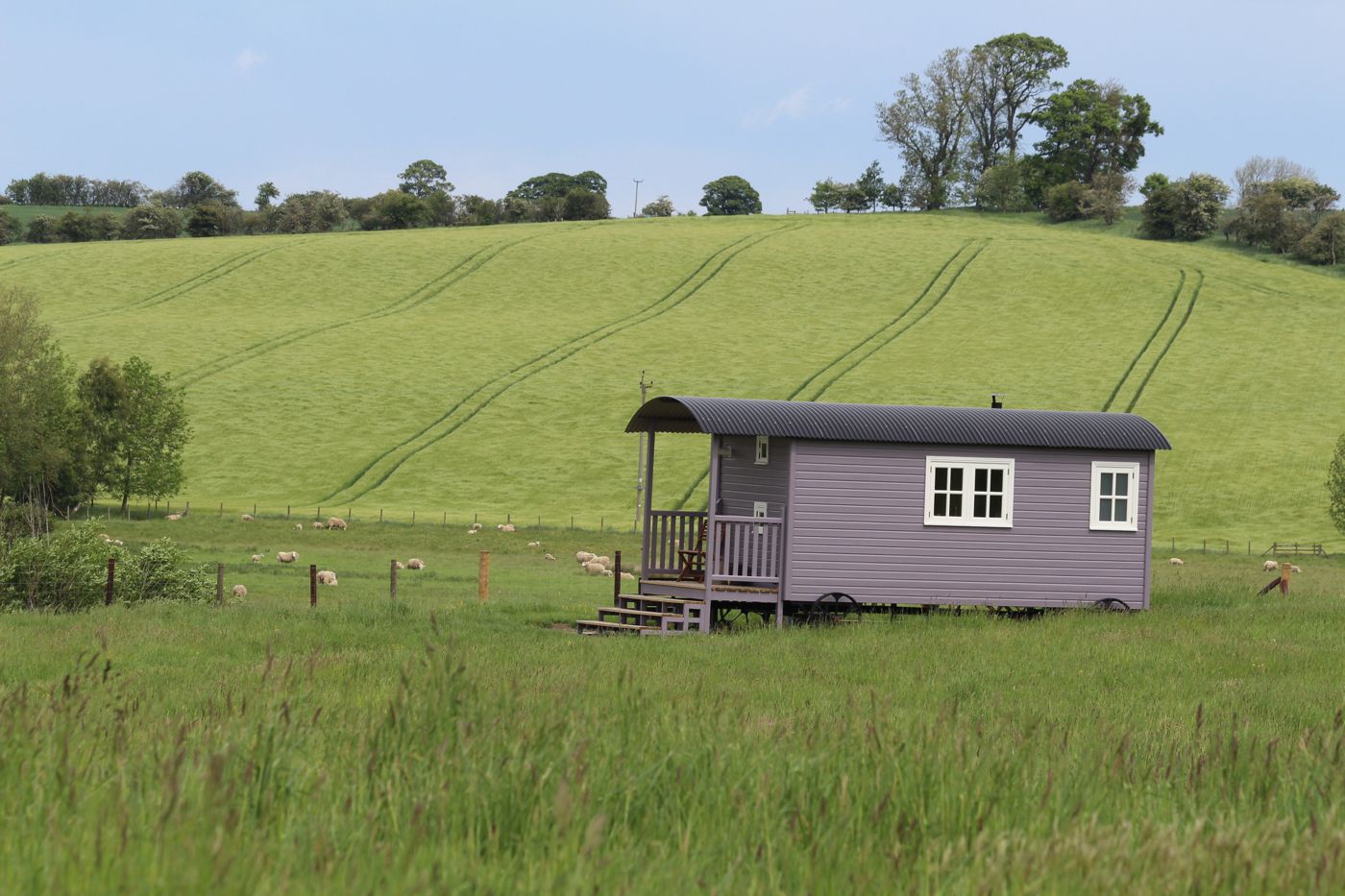 Westfield House Farm Bed and Breakfast