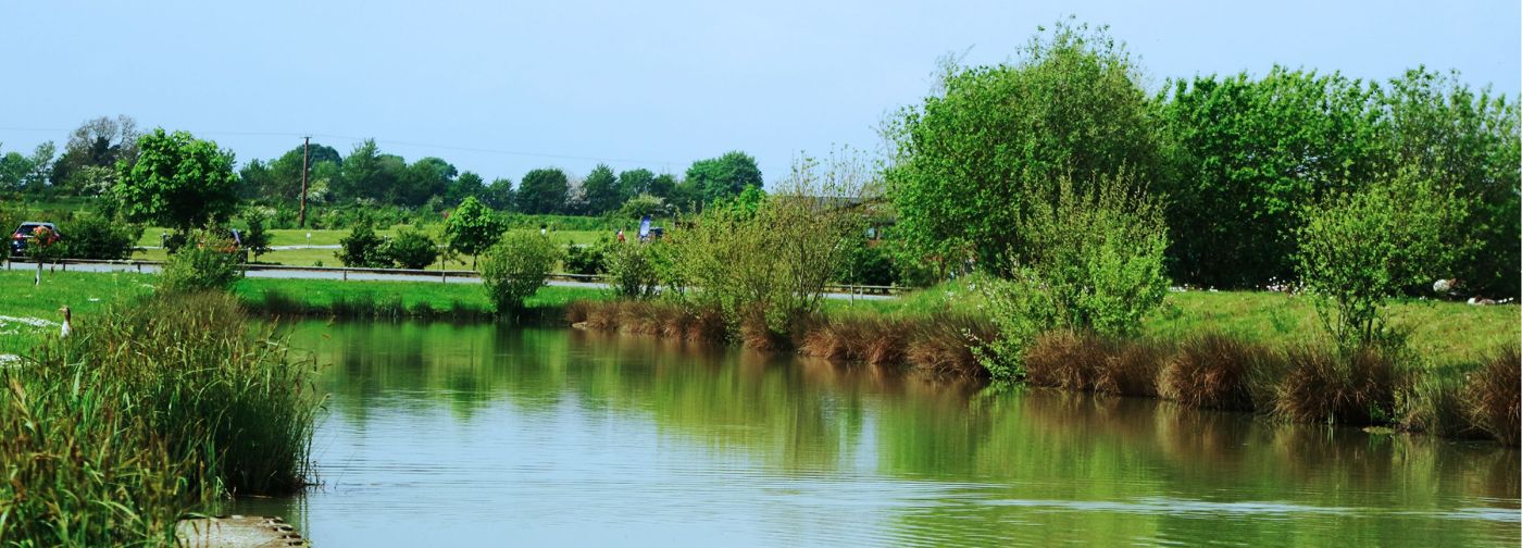 Hanworth Country Park
