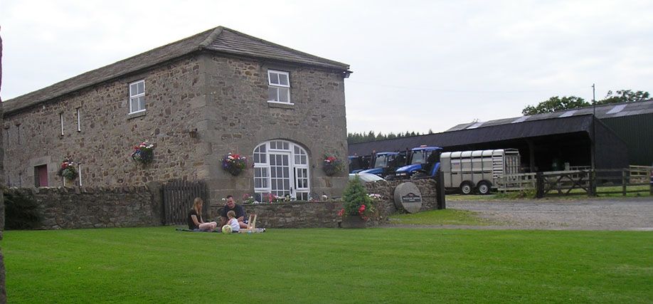 Whashton Springs B&B
