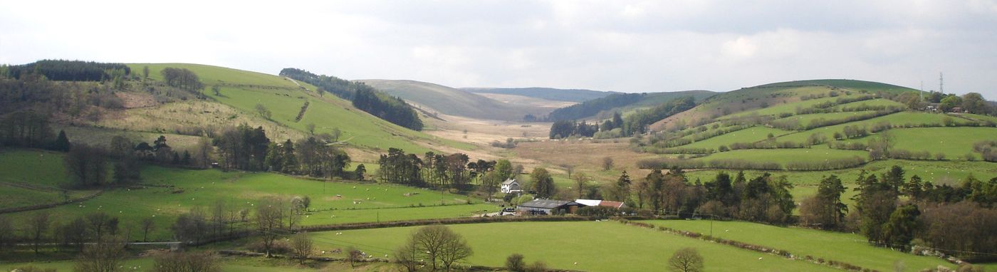 The Clochfaen