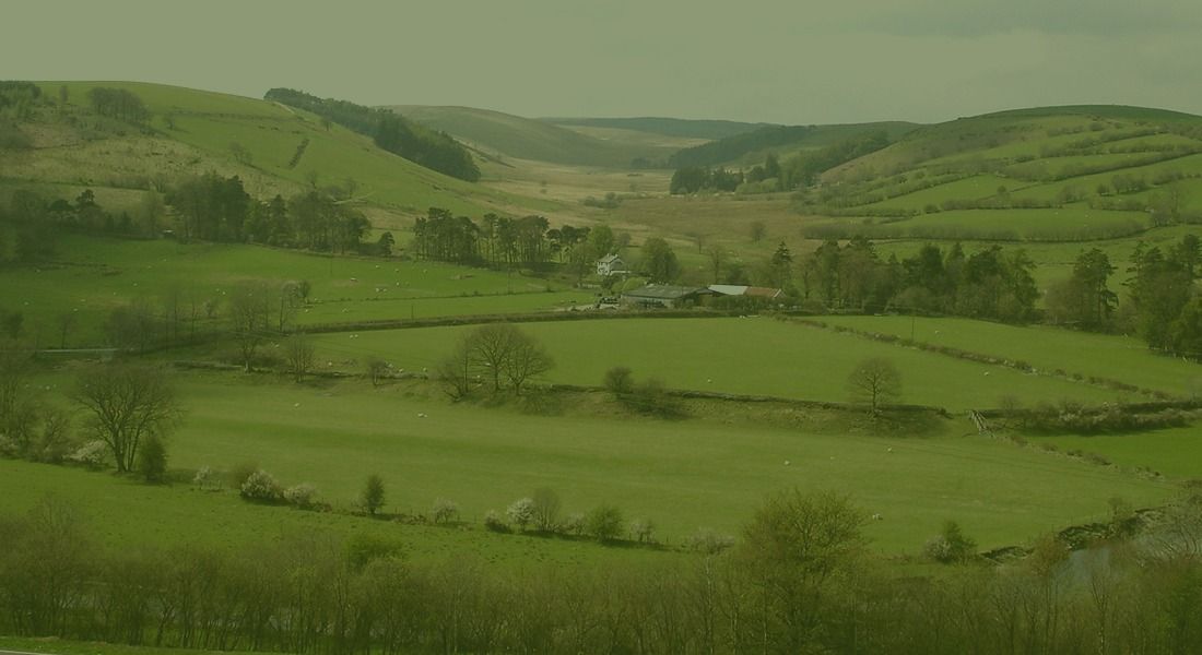 The Clochfaen