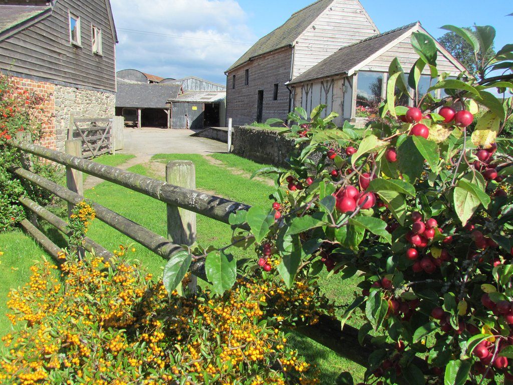 Lowe Farm Bed and Breakfast