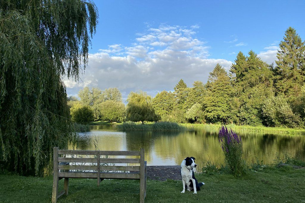 Willowbank Lodges