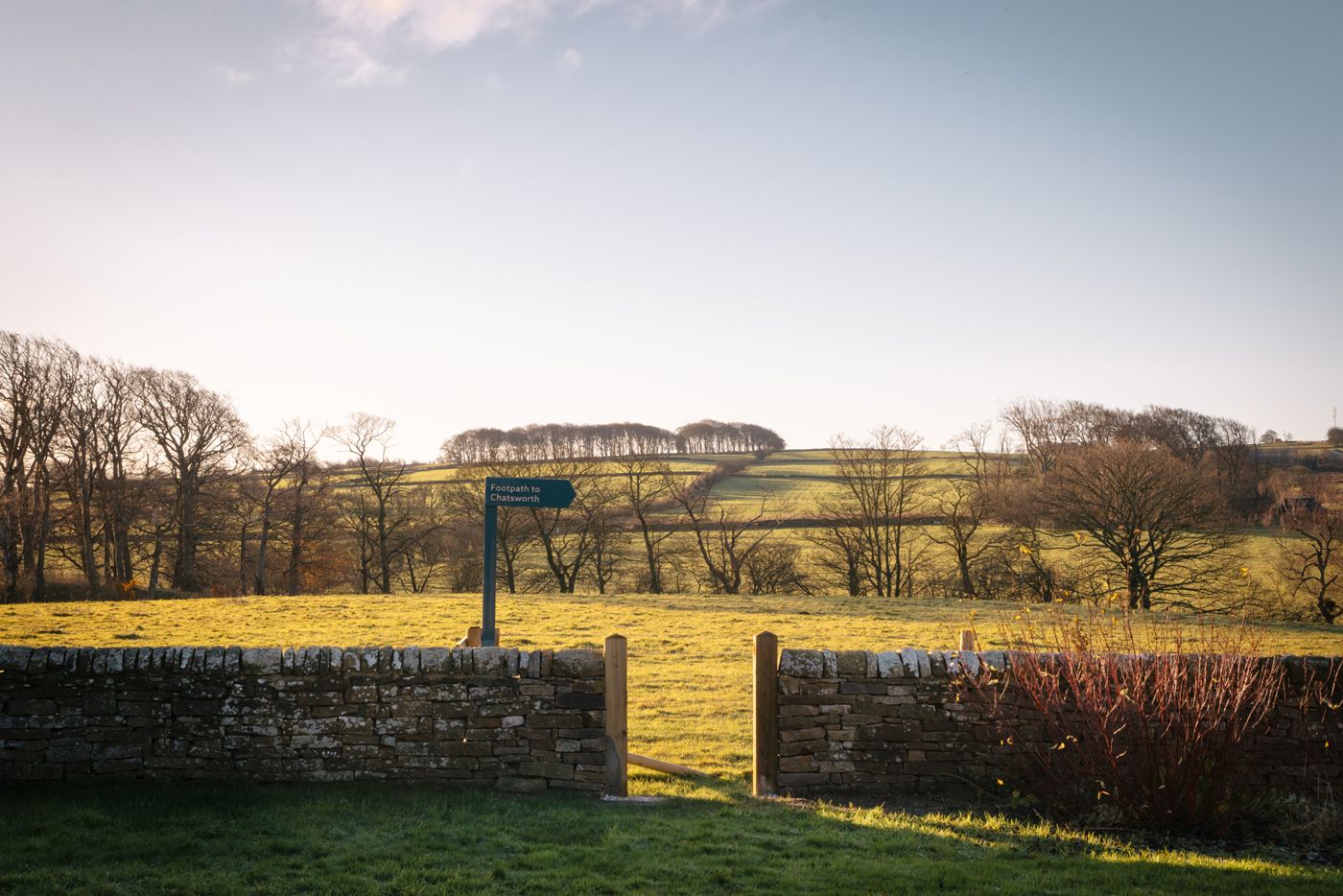 The Hide Hotel