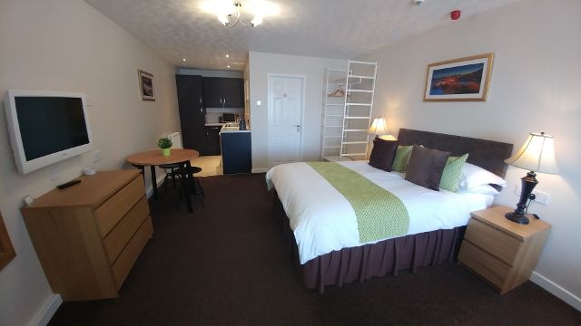 Swan Studios