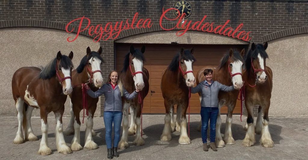 Peggyslea Farm