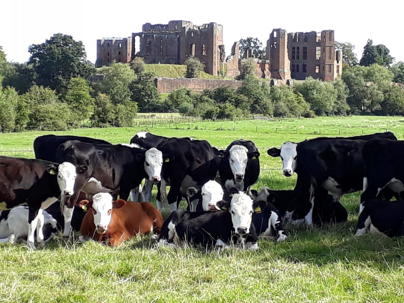 North Mere Farm Cottages