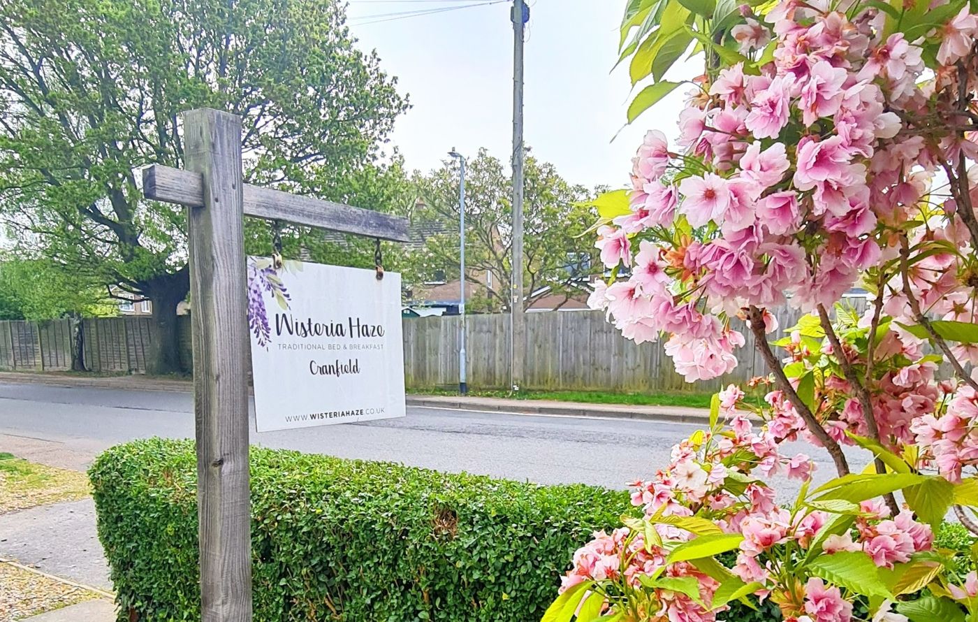 Wisteria Haze Bed & Breakfast