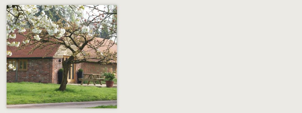 Hidden Cottages