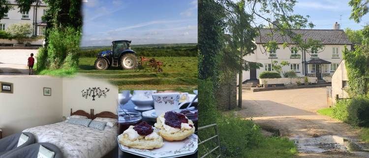 Forda Farm Bed and Breakfast