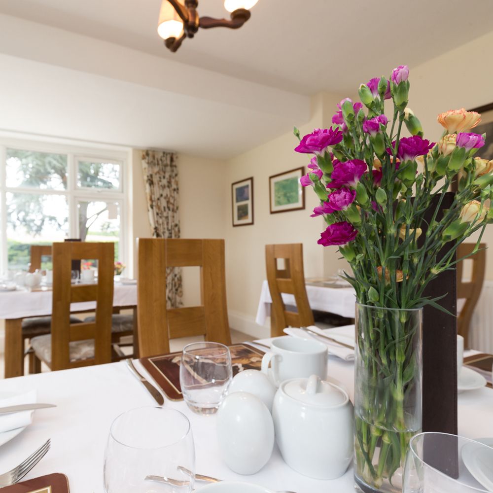 Whitethorn Bed and Breakfast