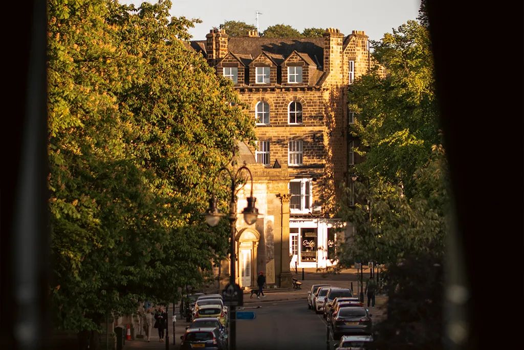 The Old Swan