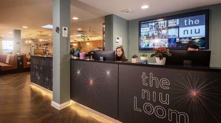 the niu Loom