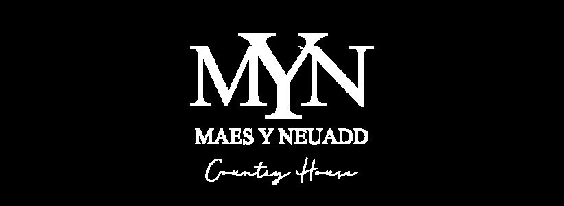 Hotel Maes-y-Neuadd