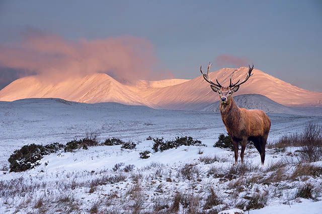 Loch Awe Hotel