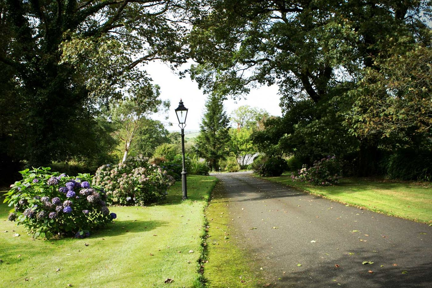 Collaven Manor Hotel