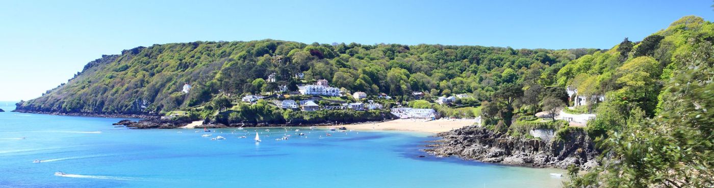 The Salcombe