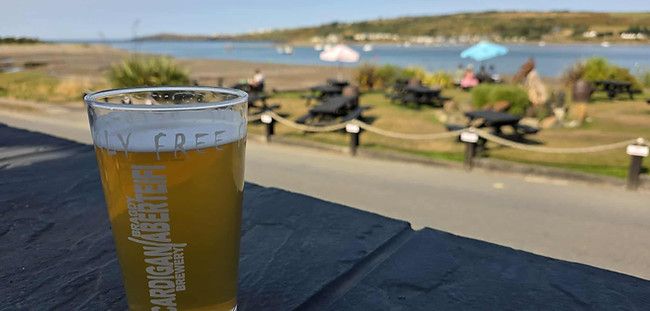 The Teifi Waterside Hotel
