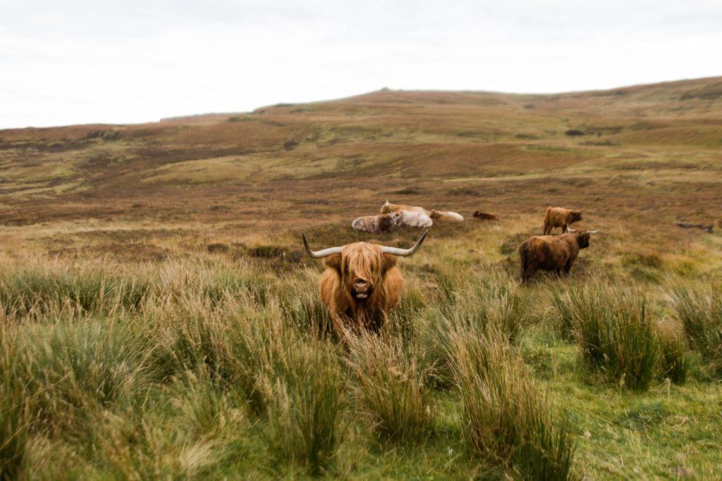 Isle of Skye Guesthouse