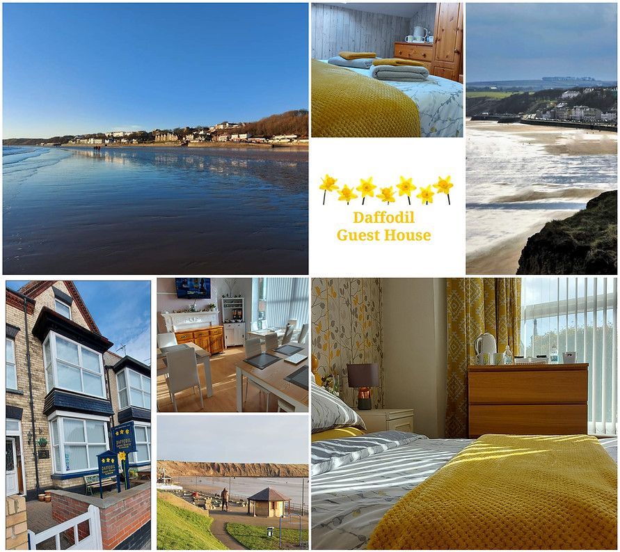 Daffodil Guest House
