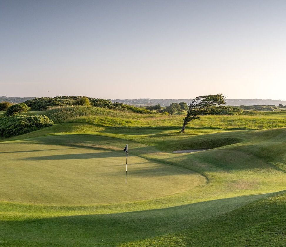 The Hawthorn by Galway Bay