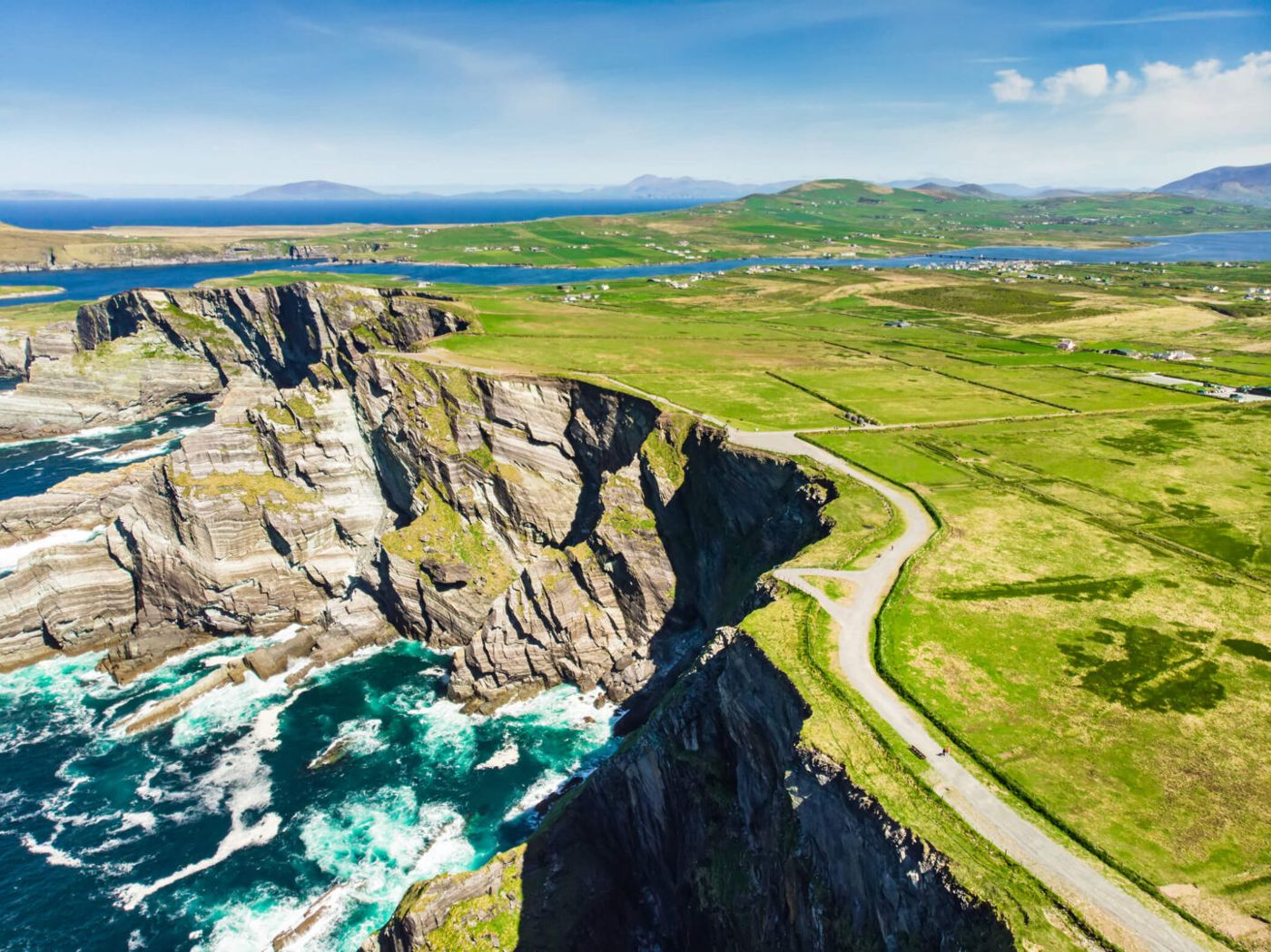 The Hawthorn by Galway Bay
