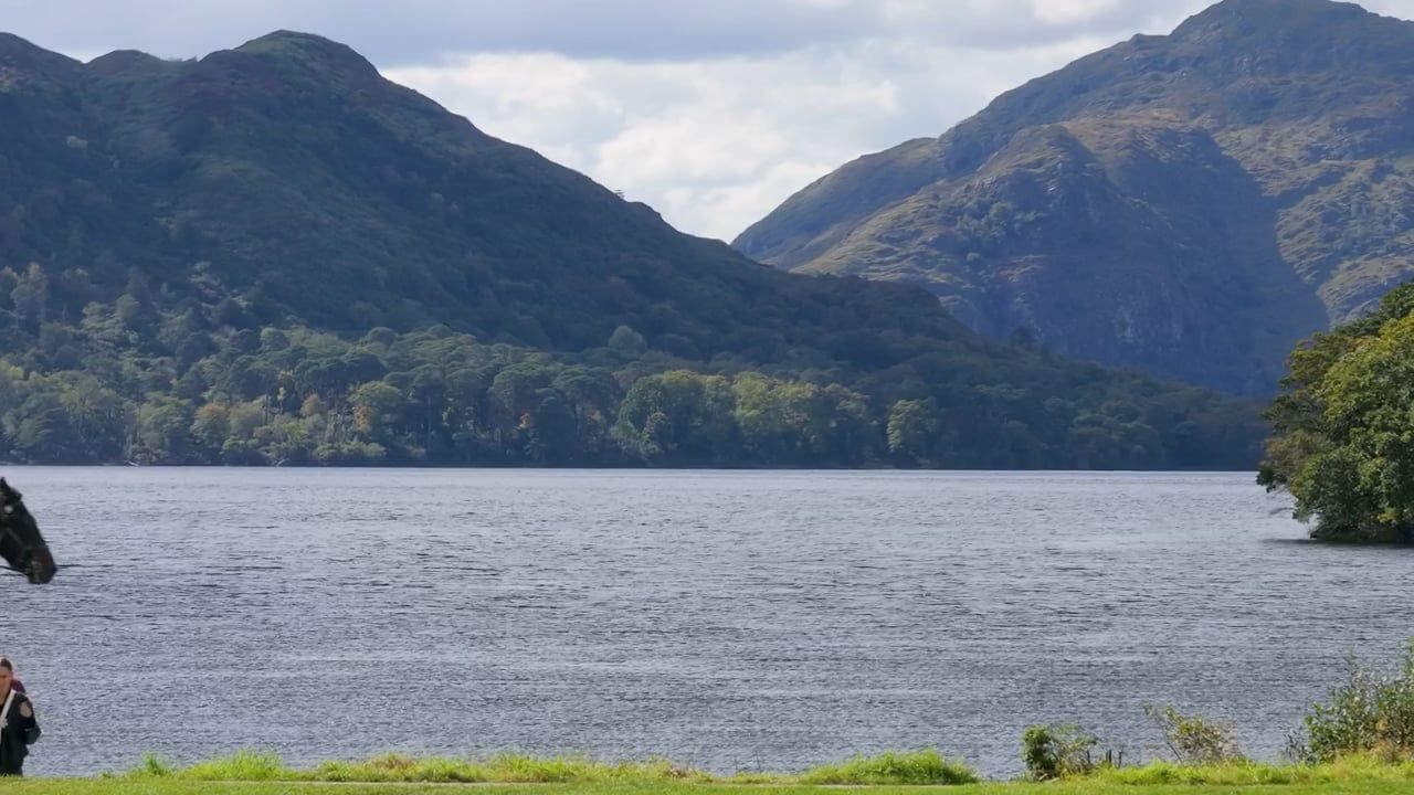 Killarney Towers