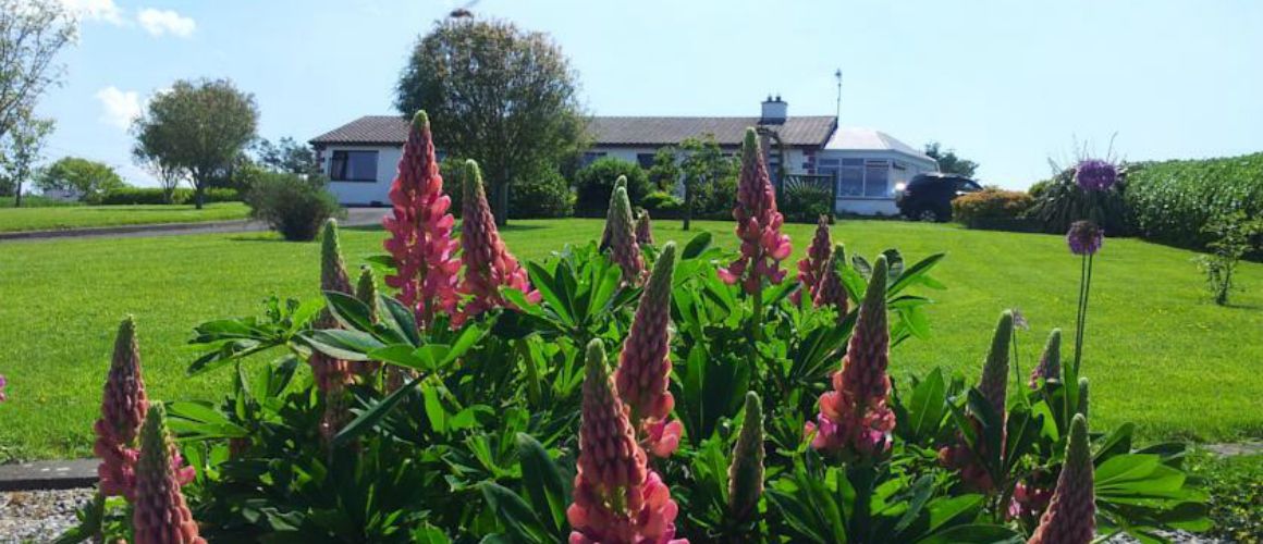 Mount Edward Lodge