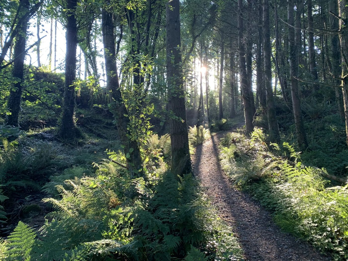 Garden Cottage on Tintern Trails