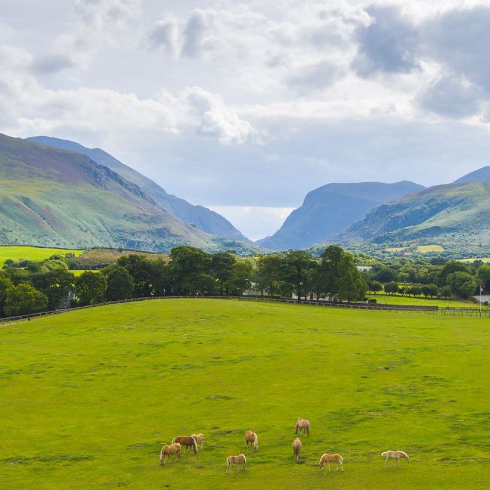 The Dunloe