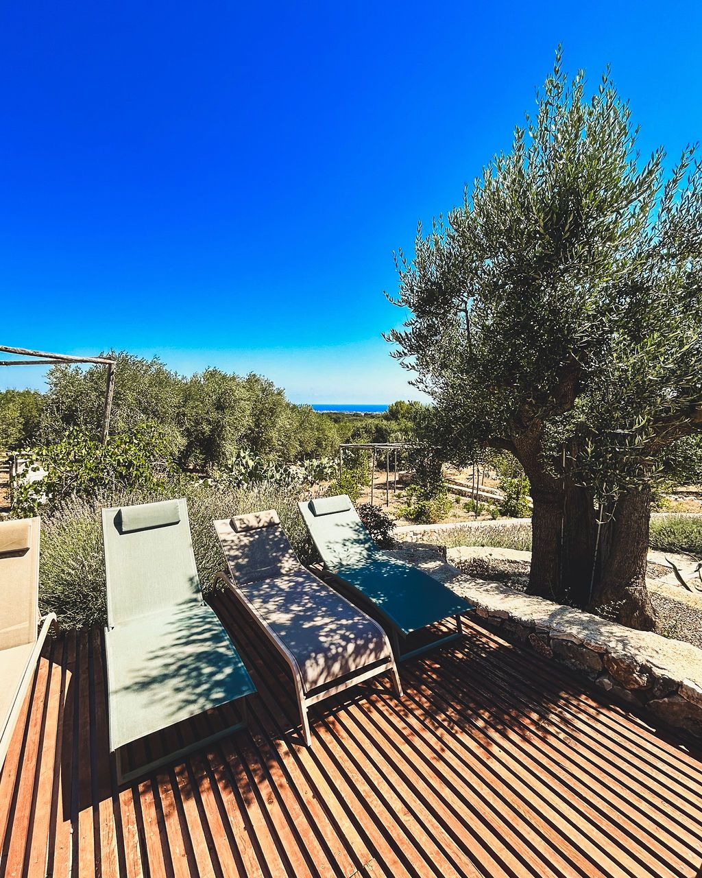 Masseria Santa Teresa