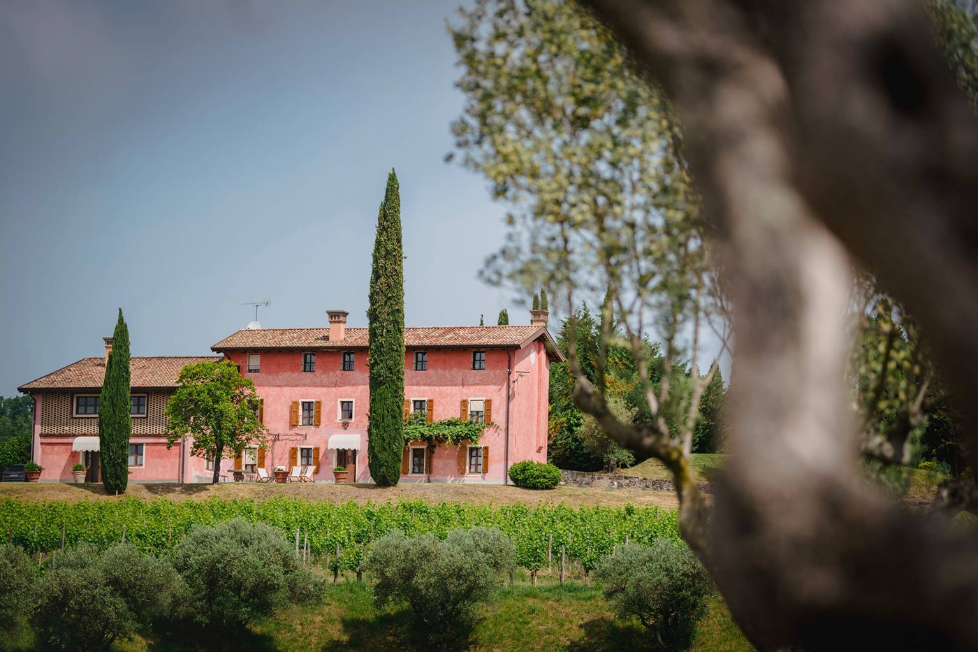 Appartamenti nelle Vigne