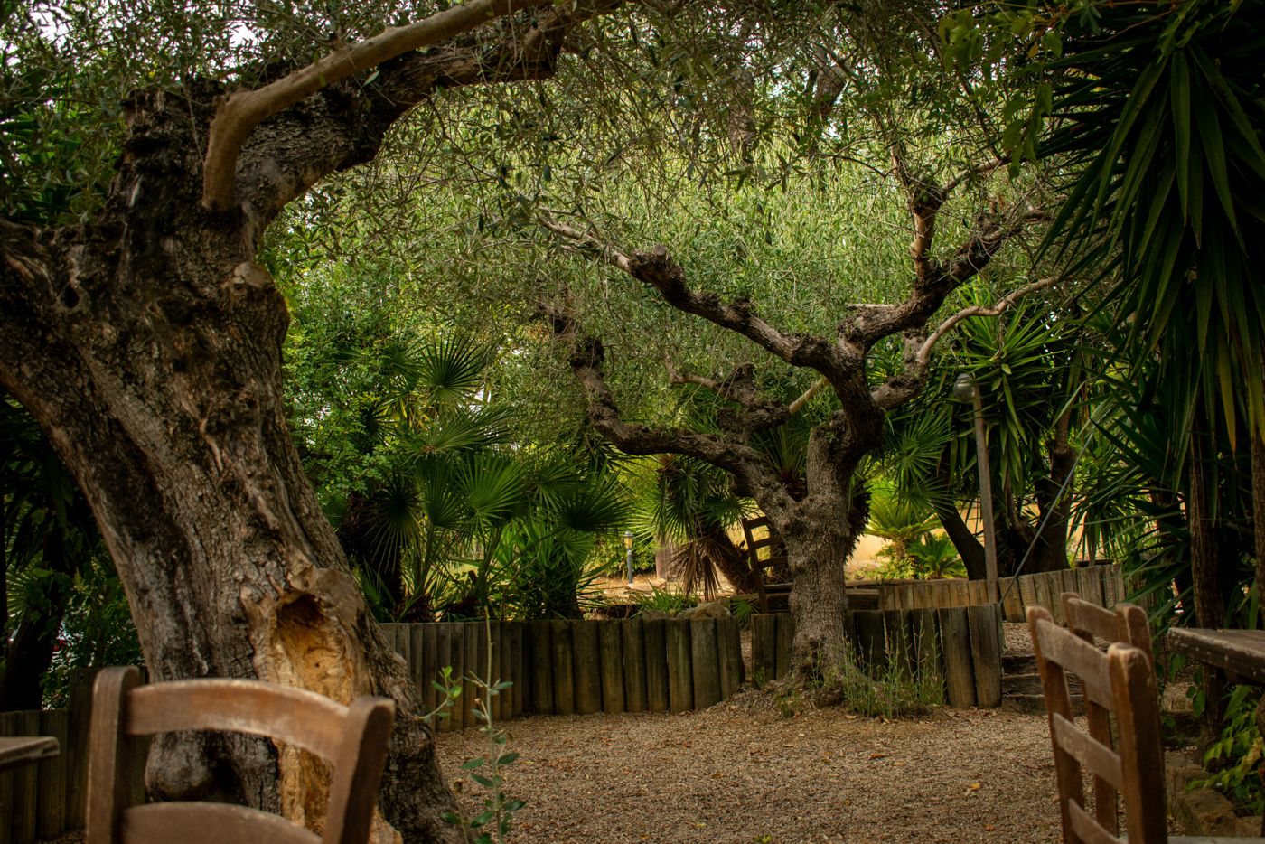 Agriturismo Col Morino