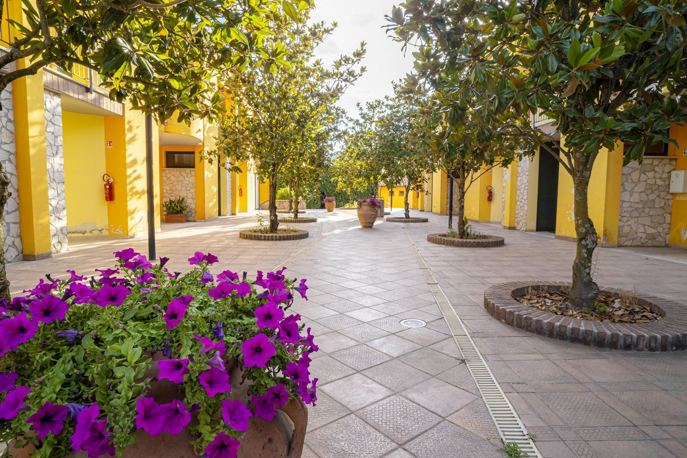Hotel Turrita