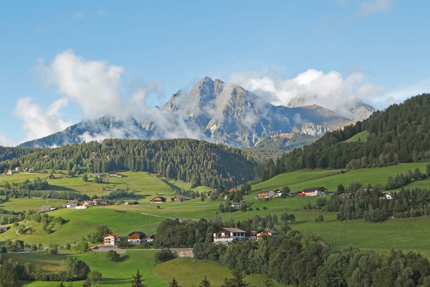 Edelweiss