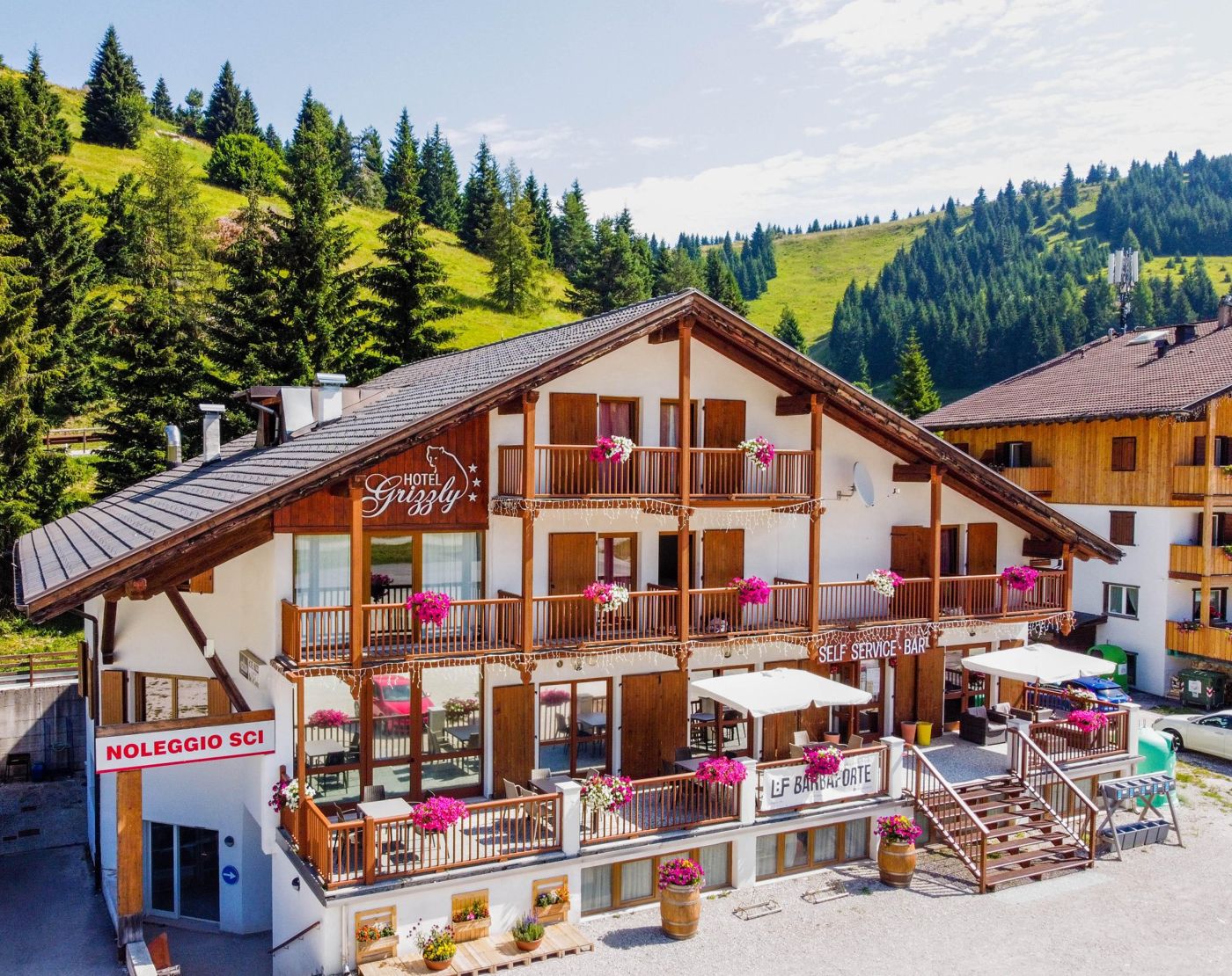 Hotel Grizzly