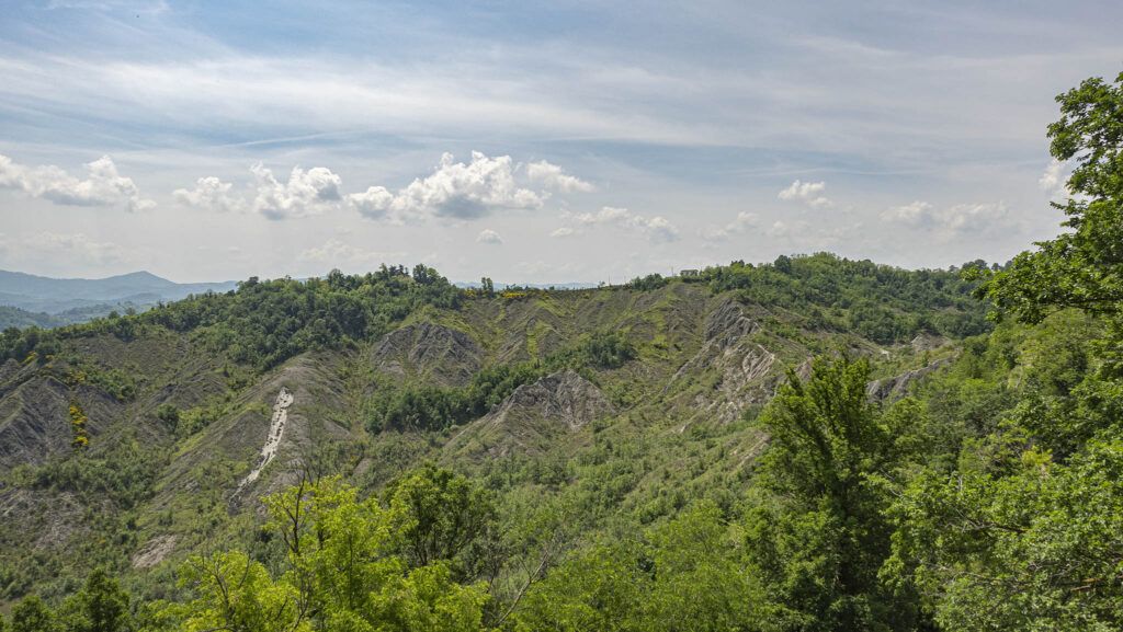 La Tagliolina