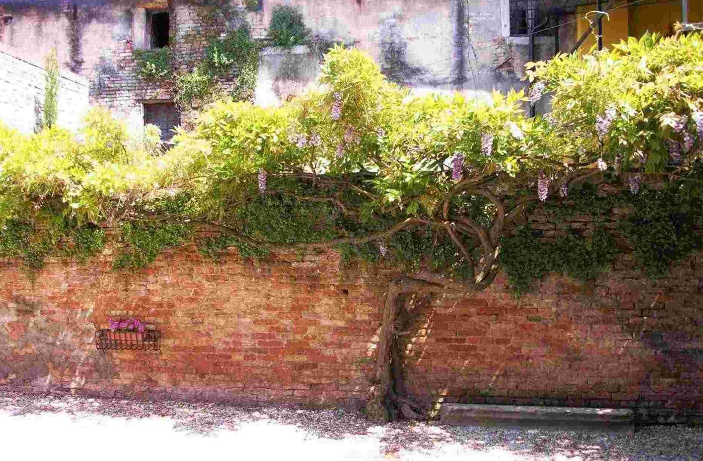 Alcova del Doge