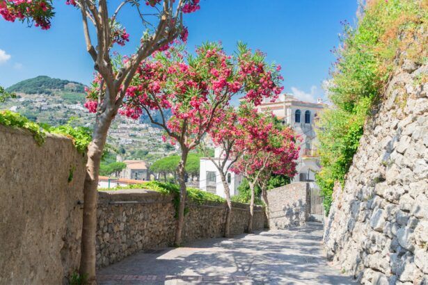 Il Ducato Di Ravello